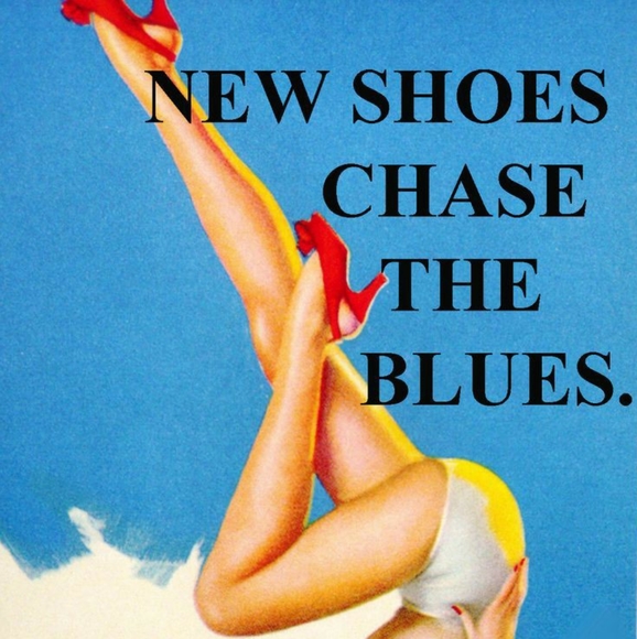 Meet your Posher, Sassy Kat - Picture 7 of 8